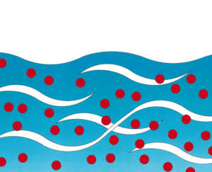 Dissolved Oxygen in Water